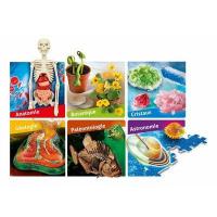Clementoni science jeu le grand coffret du s 1 