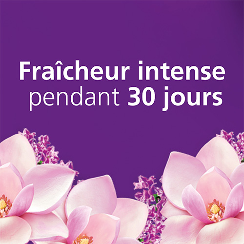 Soupline Concentré 3D Parfum - Fraîcheur Parfumée - Notes de Magnolia &  Lavande - 60 lavages - 1,28L